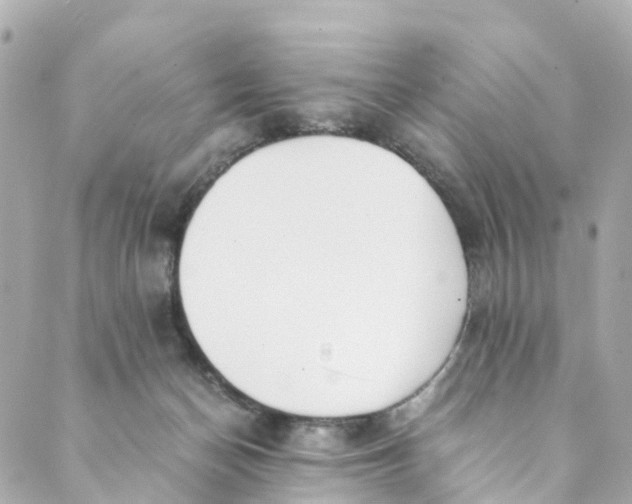 X0000088910174200706291538