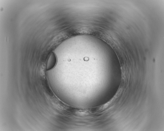 X0000088910175200706291538