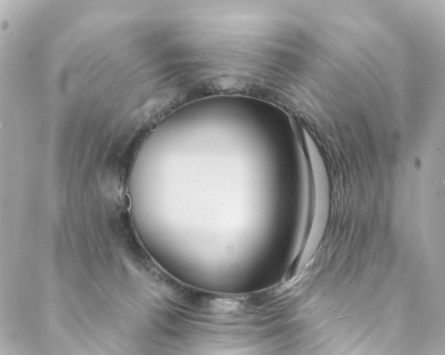 X0000088910176200706291538