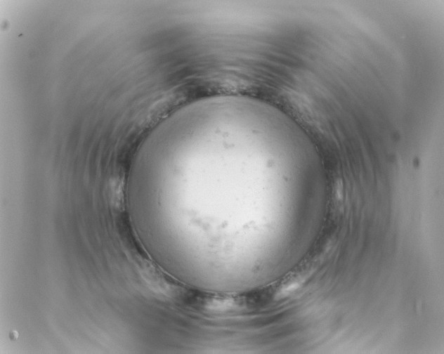 X0000088910177200706291538