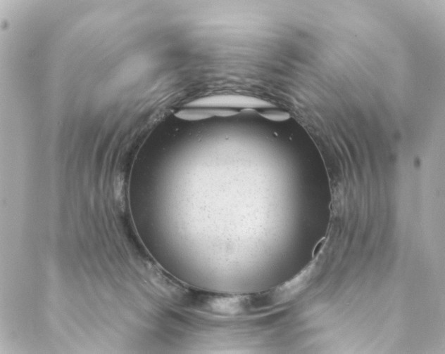 X0000088910178200706291538