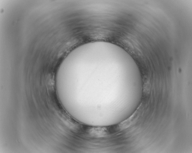 X0000088910179200706291538