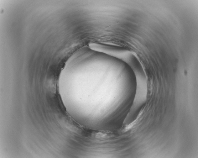 X0000088910180200706291538