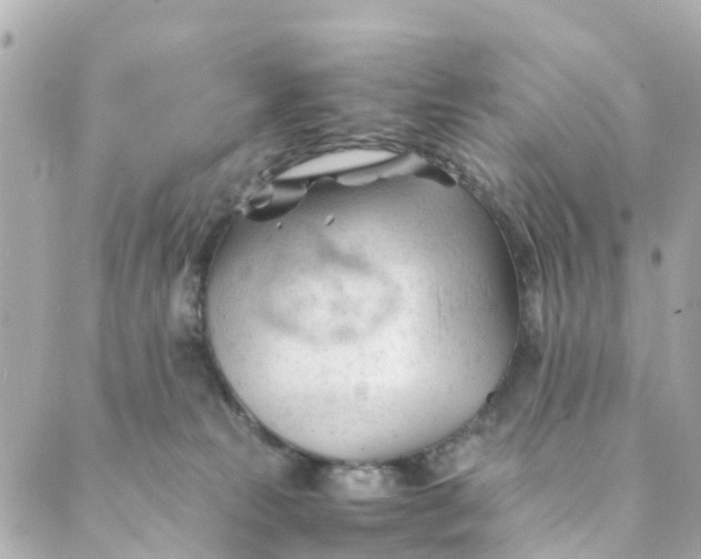 X0000088910181200706291538