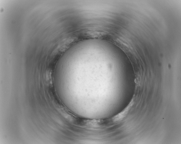 X0000088910182200706291538