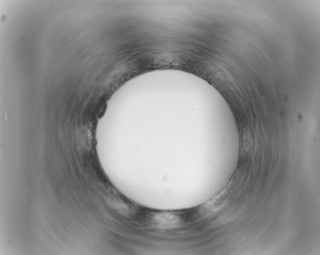 X0000088910183200706291538