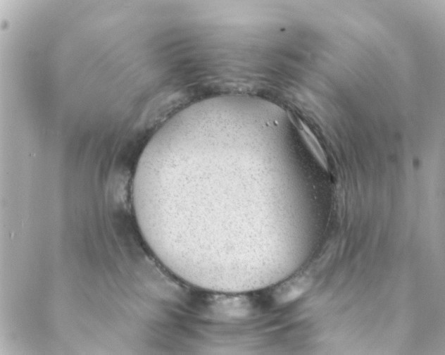 X0000088910185200706291538