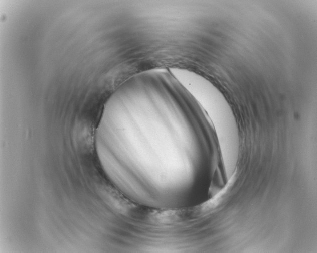 X0000088910186200706291538