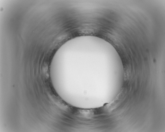 X0000088910187200706291539