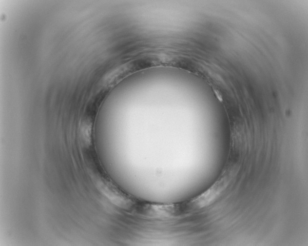 X0000088910188200706291539