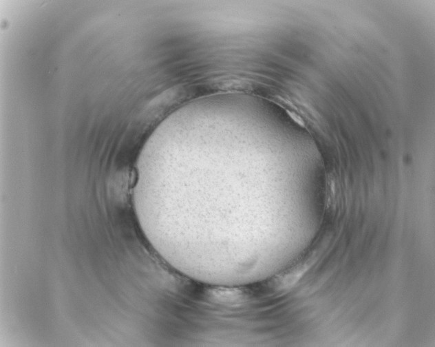 X0000088910189200706291539