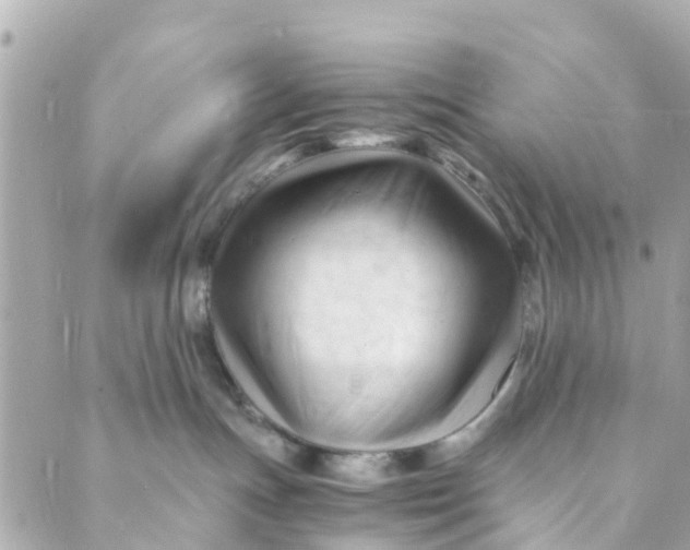 X0000088910191200706291539