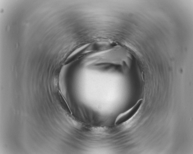 X0000088910192200706291539