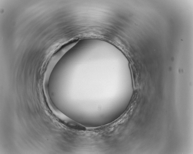 X0000088910193200706291538