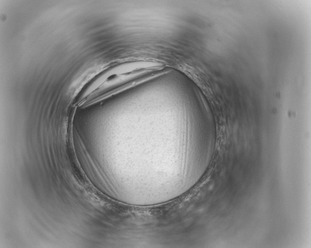 X0000088910194200706291538