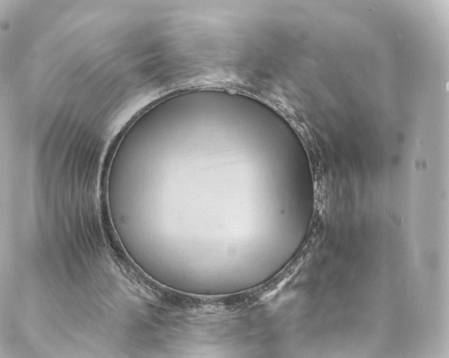 X0000088910196200706291538