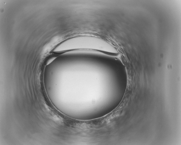 X0000088910197200706291538