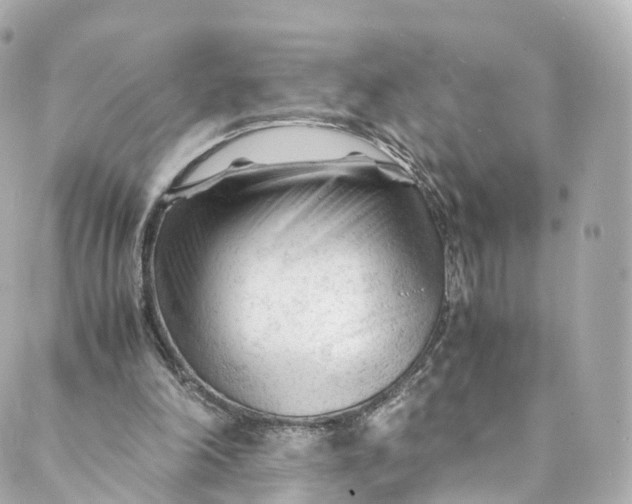 X0000088910198200706291538