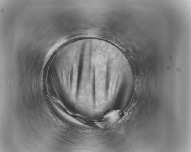 X0000088910200200706291538