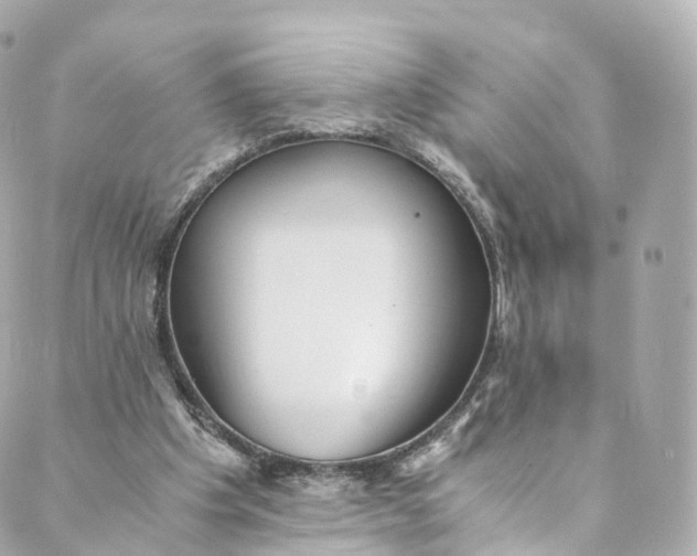 X0000088910201200706291538