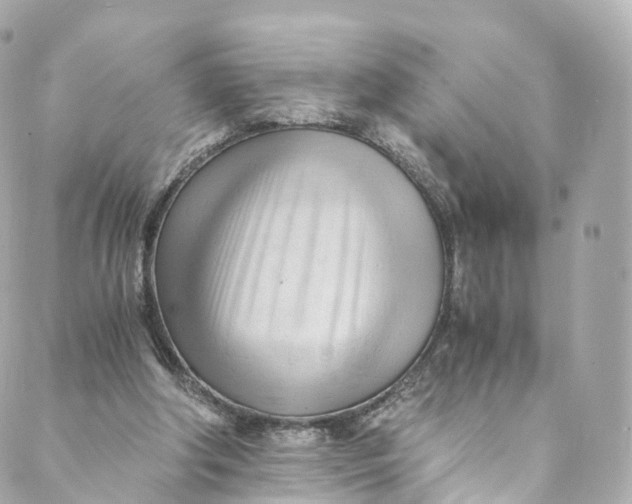 X0000088910202200706291538