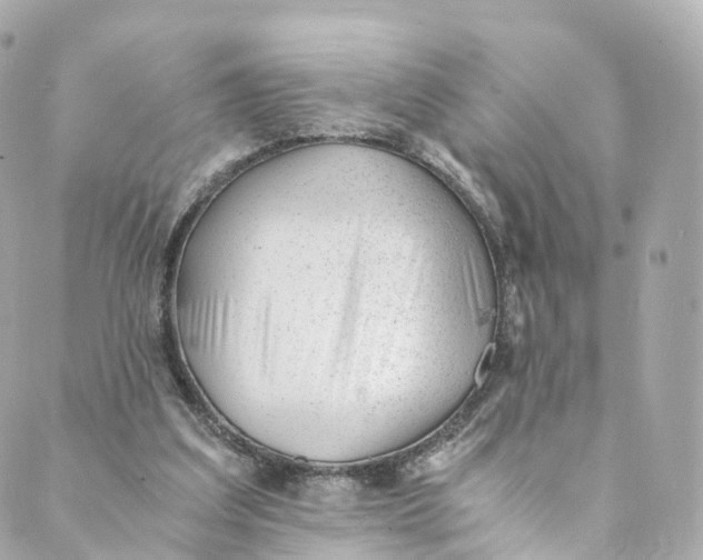 X0000088910203200706291538