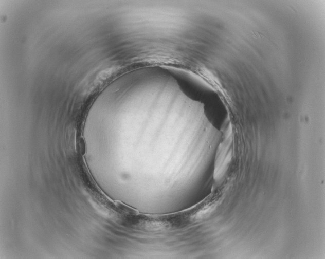 X0000088910205200706291538