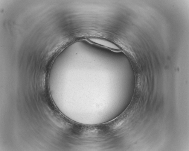 X0000088910206200706291538