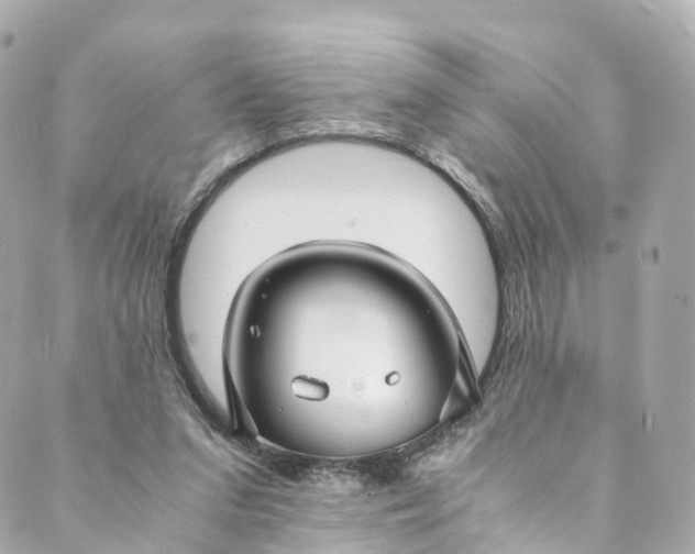 X0000088910207200706291538