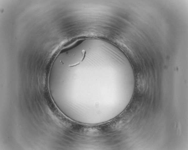 X0000088910208200706291538