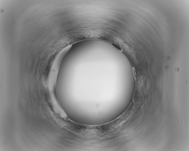 X0000088910209200706291538