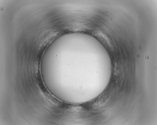 X0000088910210200706291538