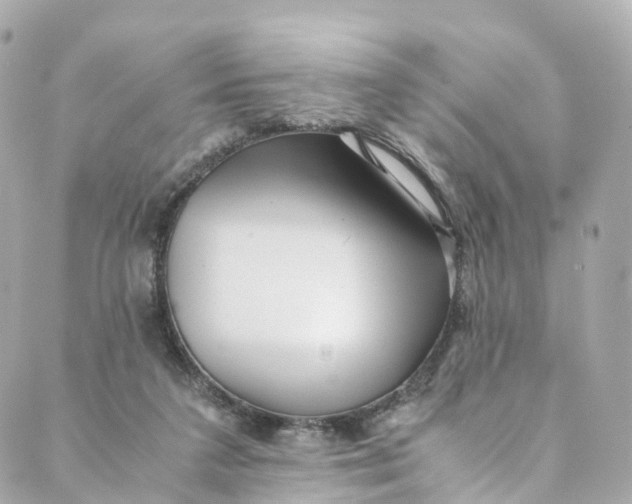 X0000088910211200706291538