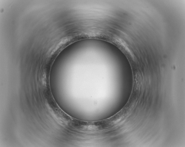 X0000088910212200706291538