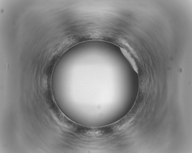 X0000088910213200706291537