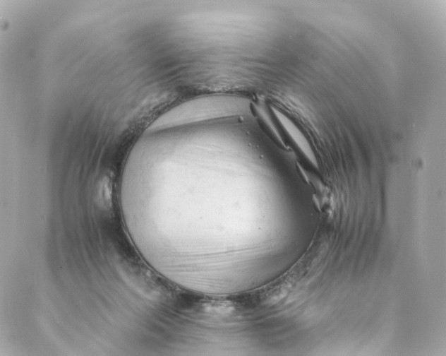 X0000088910214200706291537