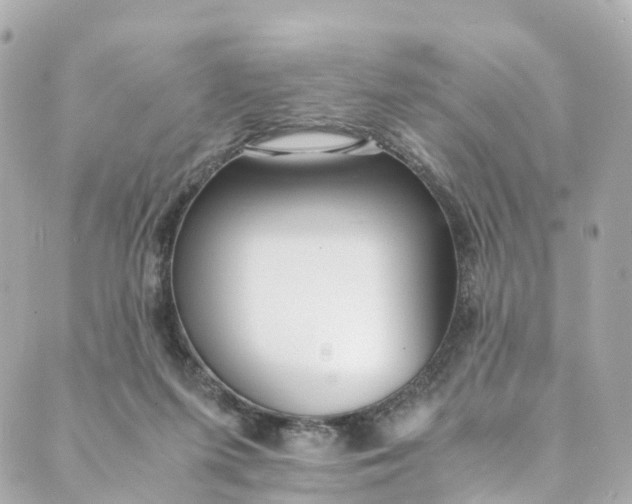 X0000088910215200706291537