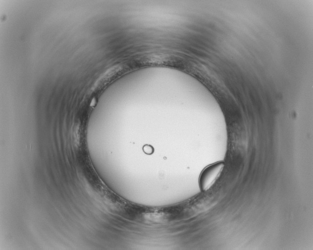 X0000088910216200706291537