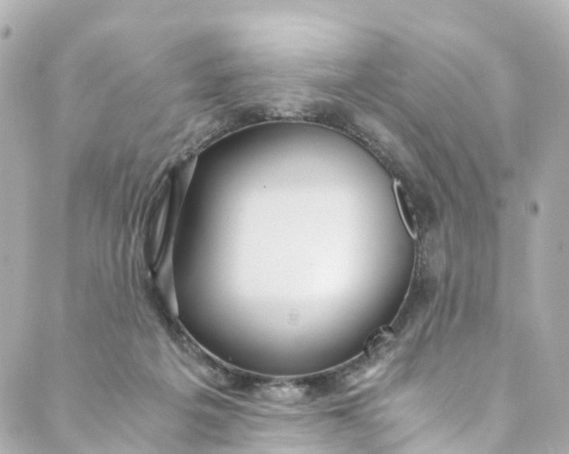 X0000088910217200706291537