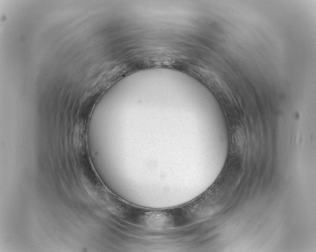 X0000088910218200706291537