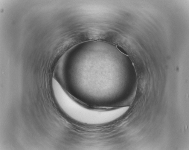 X0000088910219200706291537