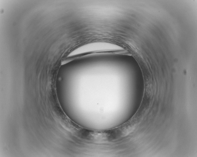 X0000088910221200706291537