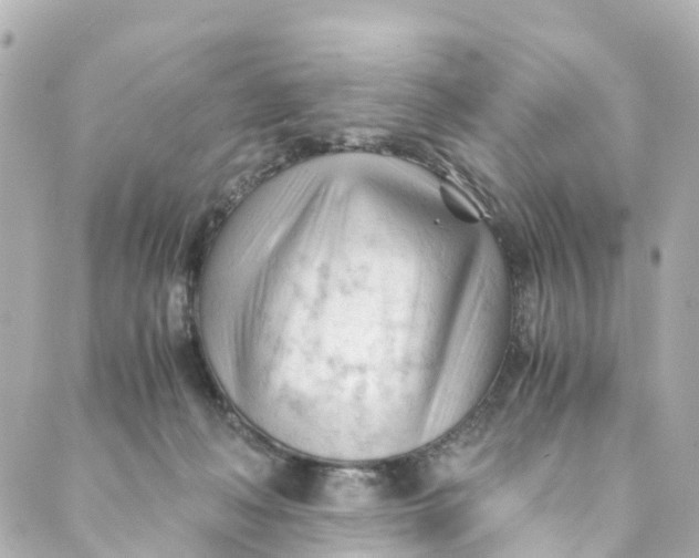 X0000088910222200706291537