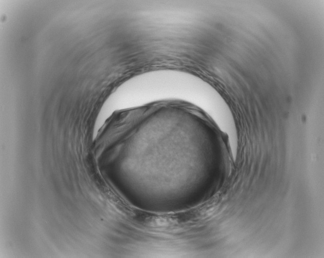 X0000088910223200706291537