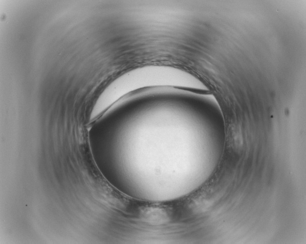 X0000088910224200706291537