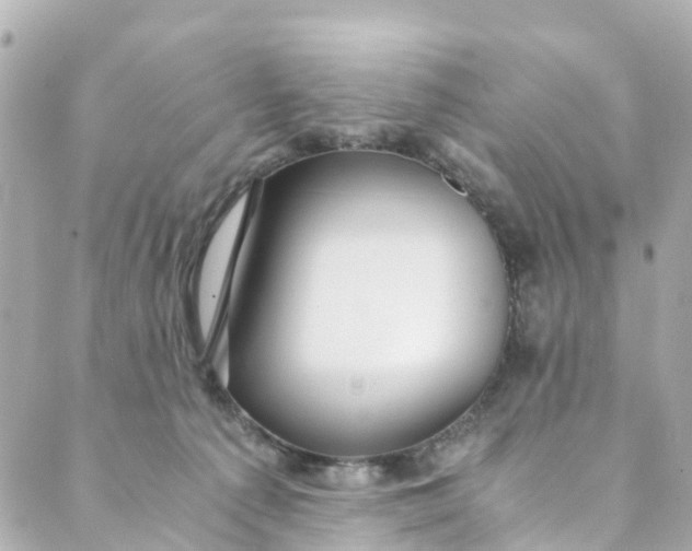 X0000088910225200706291537