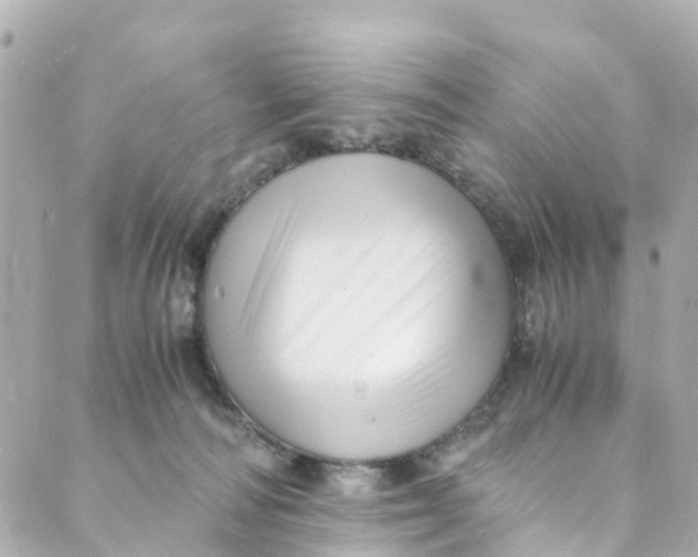 X0000088910226200706291537