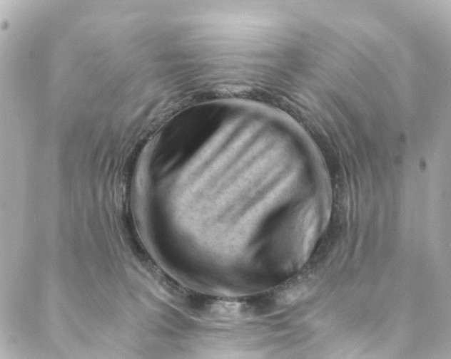 X0000088910227200706291537