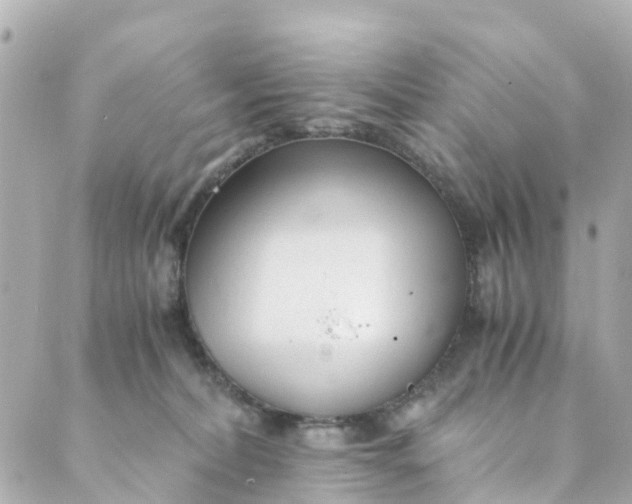 X0000088910228200706291537