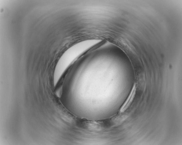 X0000088910229200706291537